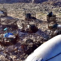 La Guardia Civil interviene 78 nasas cangrejeras en el embalse de Orellana