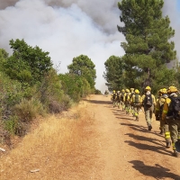 Extremadura envía apoyo para sofocar el incendio que arrasa Poyales del Hoyo (Ávila)