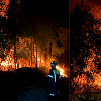 Incendio forestal cercano a la A-5