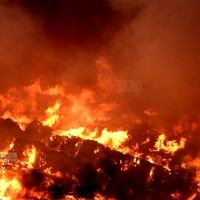 Riesgo extremo de incendio este fin de semana en Extremadura