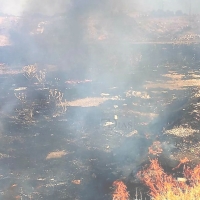 Bomberos del CPEI actúan en un incendio periurbano en Villafranca