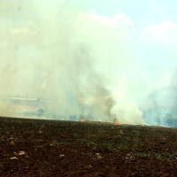 La rápida actuación de los bomberos evita que un incendio alcance una industria ganadera