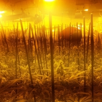 Detienen a dos mujeres por tráfico de drogas en Don Álvaro (BA)