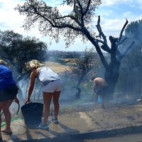 Imágenes del incendio en la urbanización Los Montitos (Badajoz)