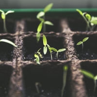Desarrollan un sistema inteligente de monitorización de cultivos