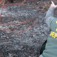 La Guardia Civil inicia su campaña de verano contra los incendios forestales