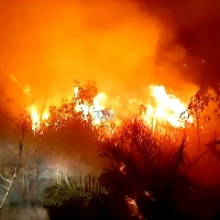 Arduo trabajo durante la madrugada en un incendio en Proserpina