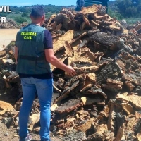 La Guardia Civil recupera una tonelada de corcho sustraído en Sierra de Fuentes