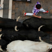 Los toros extremeños pasan por los Sanfermines “sin pena ni gloria”