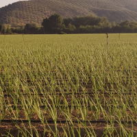 Ecología Las Herrerías: La ecología está muy maltratada