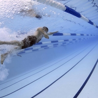 Ocho nadadores del Club de Natación Badajoz disputarán el Campeonato de España Alevín