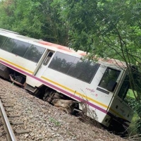 Descarrila un tren al chocar con un grupo de vacas