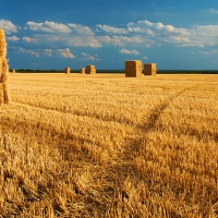 APAG Asaja destaca la voluntad de diálogo en la negociación del convenio del campo