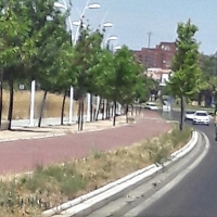 OPINIÓN: Ciclista, use el carril bici y recuerde, usted no es un peatón