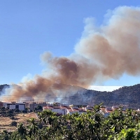 Incendio forestal en Plasencia