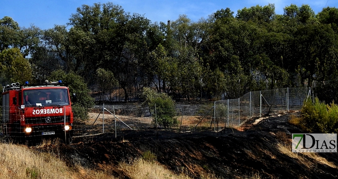 Imágenes del incendio en la urbanización Los Montitos (Badajoz)