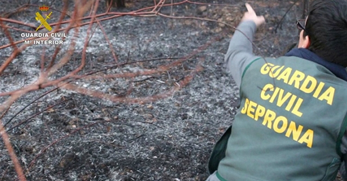 La Guardia Civil inicia su campaña de verano contra los incendios forestales