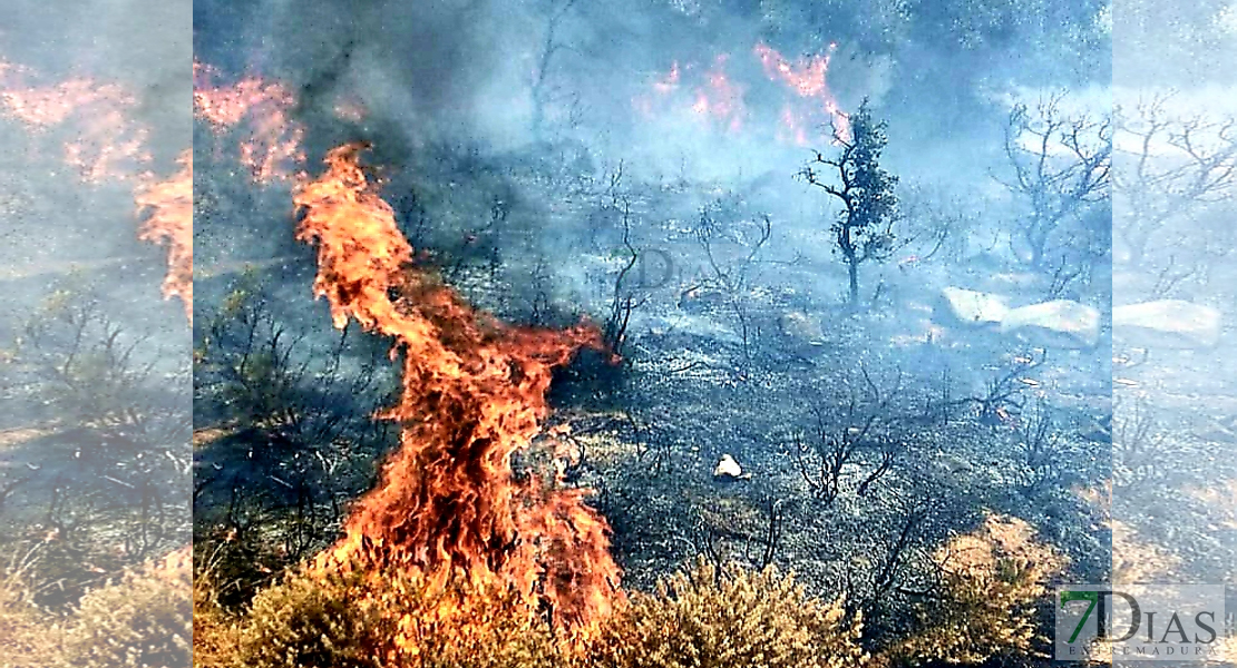 Bomberos del CPEI y Forestales del Infoex luchan contra las llamas en Fregenal de la Sierra