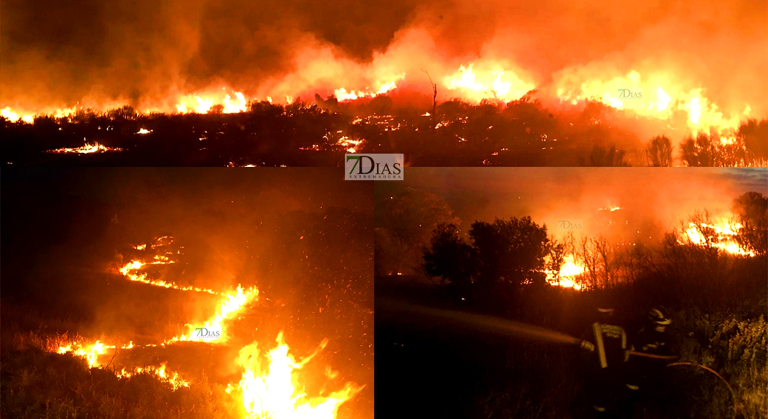 Graves daños tras un incendio en la Sierra de San Jorge