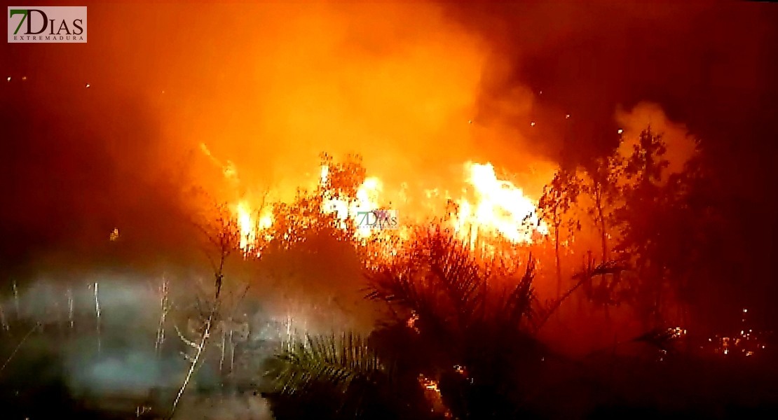 Arduo trabajo durante la madrugada en un incendio en Proserpina