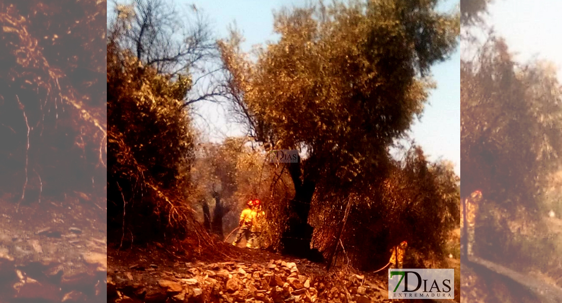 La rápida intervención de Guardia Civil e Infoex evita la propagación de un incendio en Guadalupe