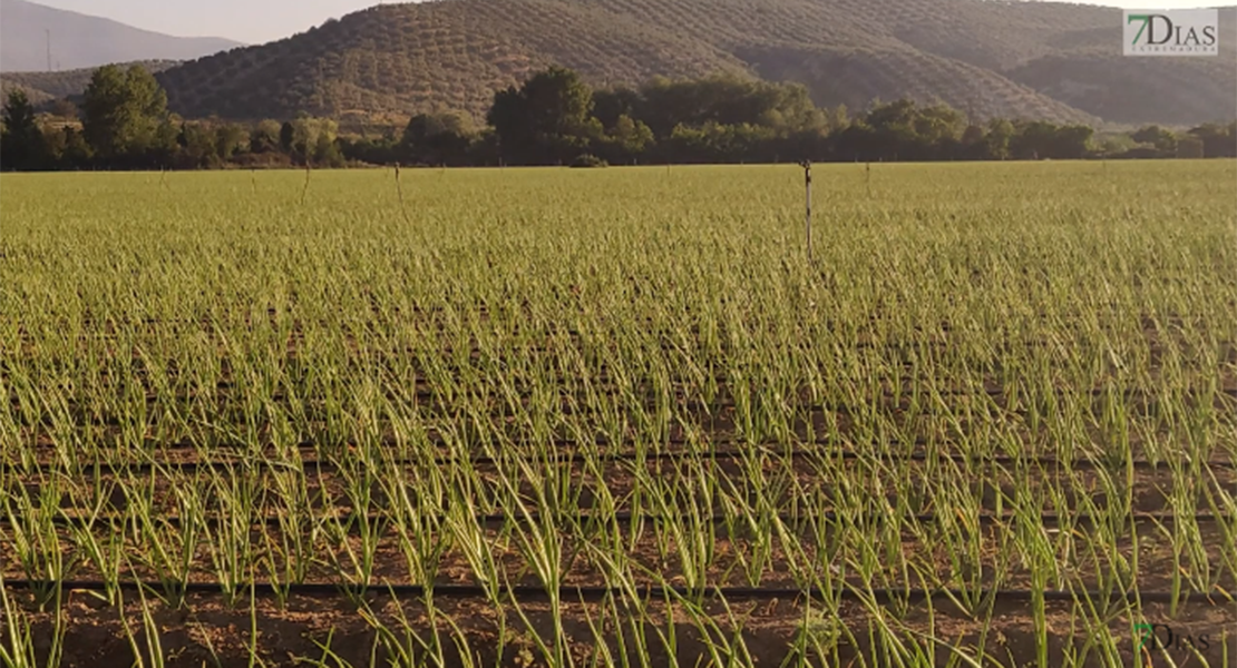 Ecología Las Herrerías: La ecología está muy maltratada