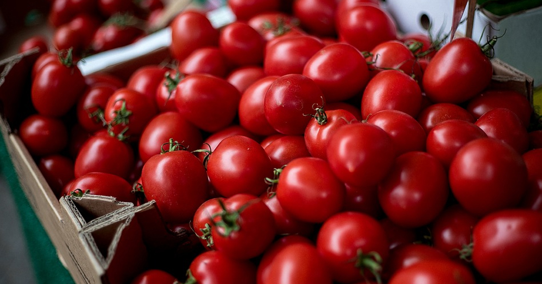 Se reduce el número de transportistas de tomate sancionados