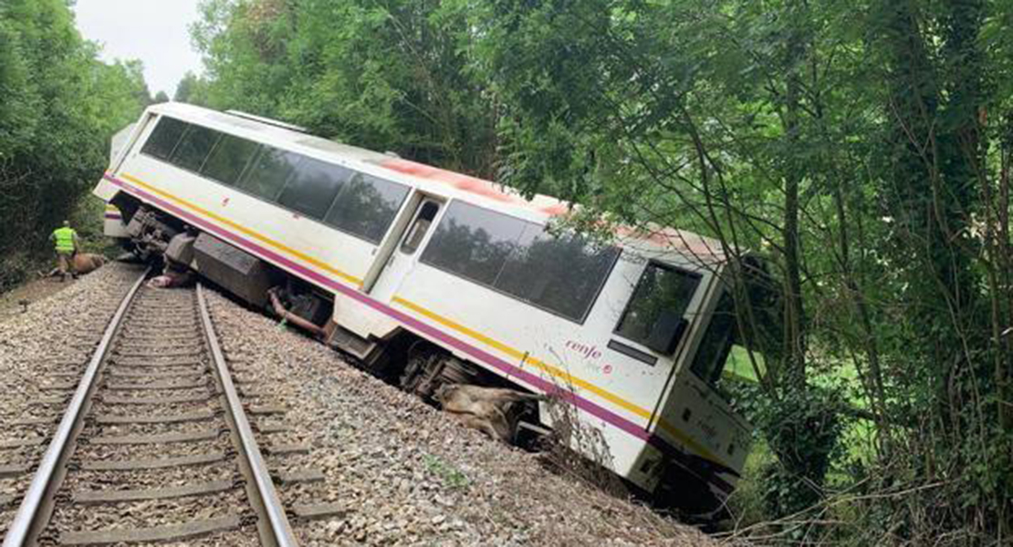 Descarrila un tren al chocar con un grupo de vacas