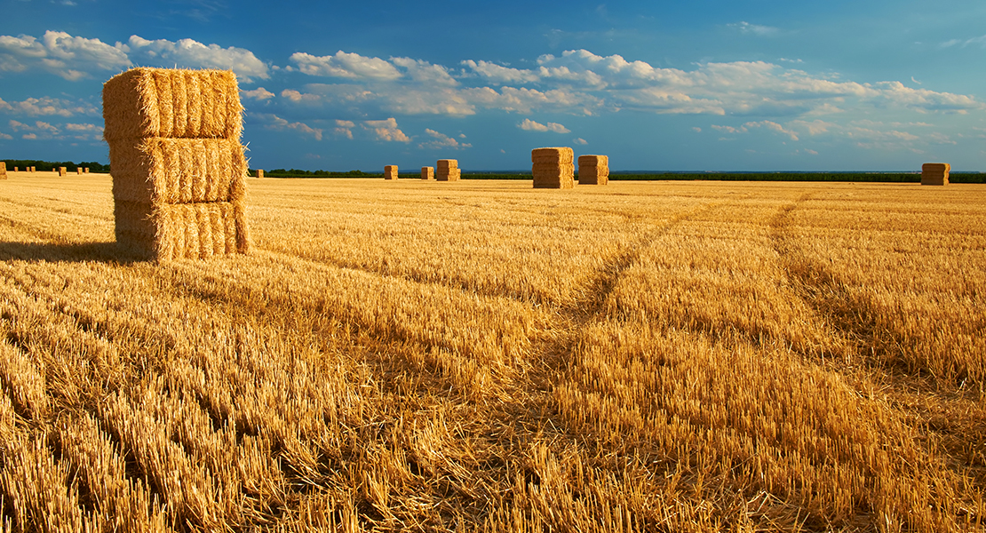 APAG Asaja destaca la voluntad de diálogo en la negociación del convenio del campo