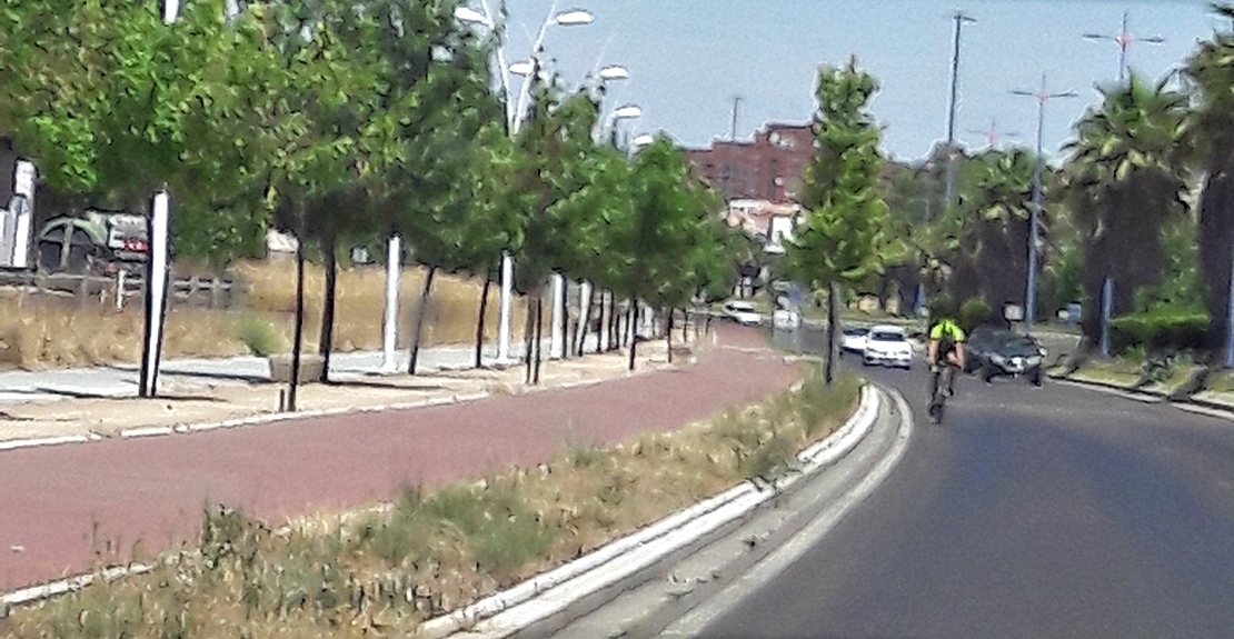 OPINIÓN: Ciclista, use el carril bici y recuerde, usted no es un peatón