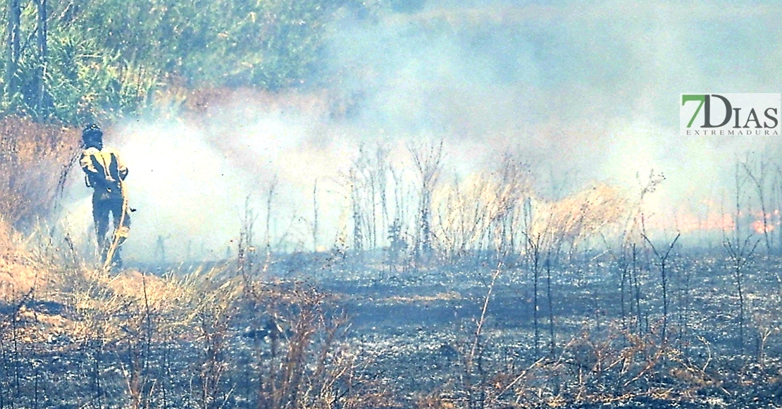 Incendio en la Ronda Norte de Badajoz