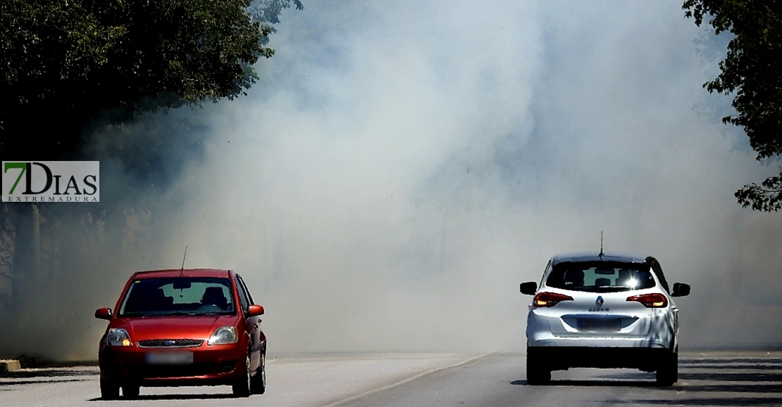 Incendio en la Ronda Norte de Badajoz