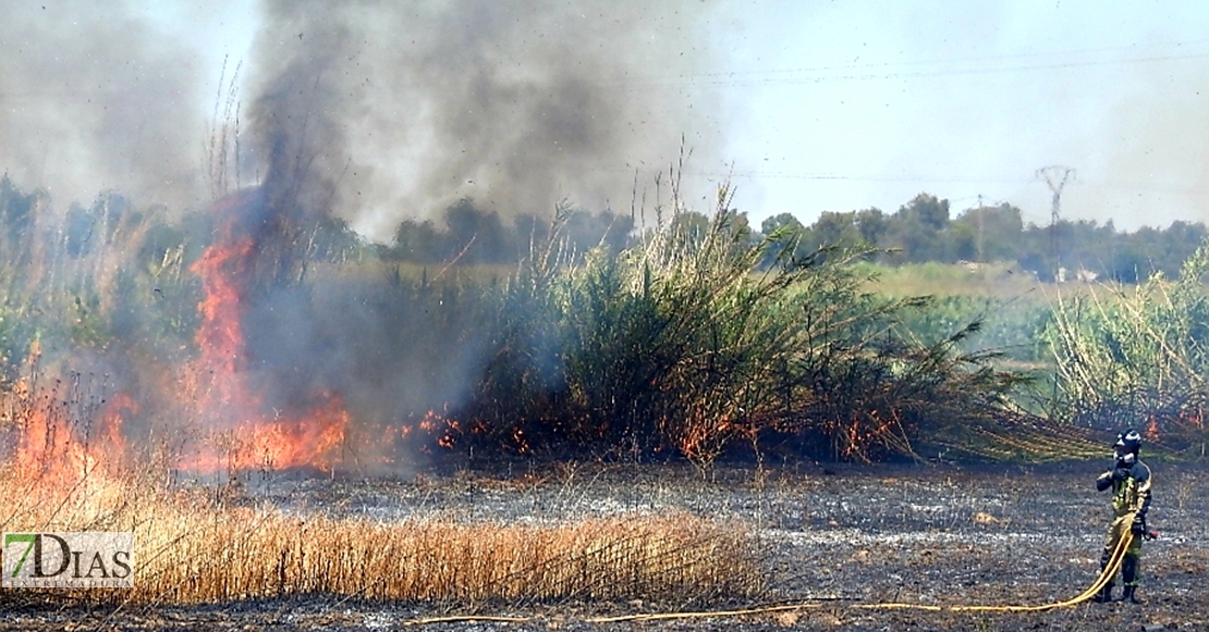 Incendio en la Ronda Norte de Badajoz