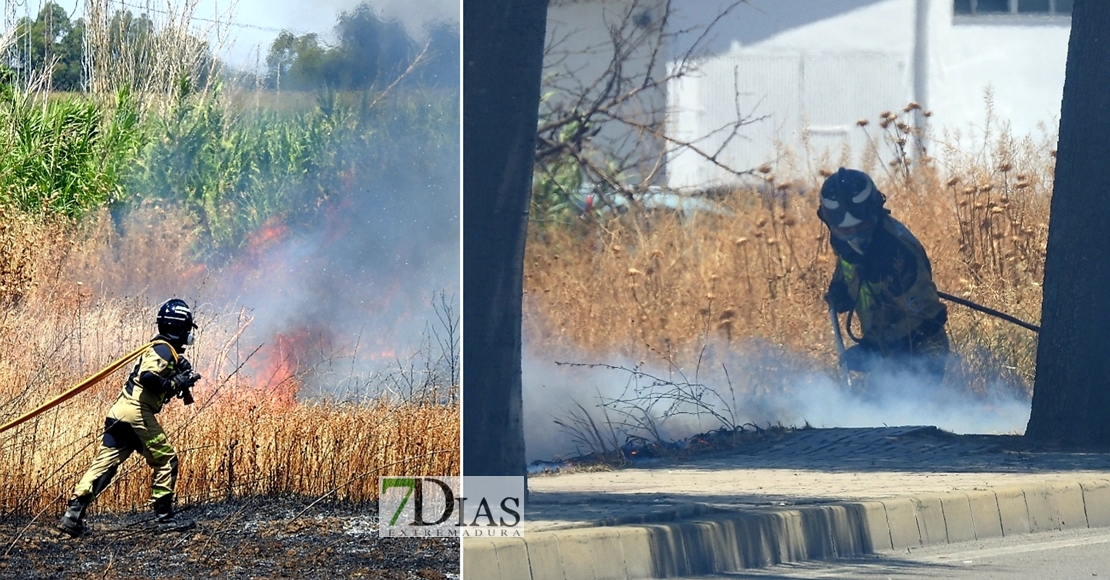 Incendio en la Ronda Norte de Badajoz