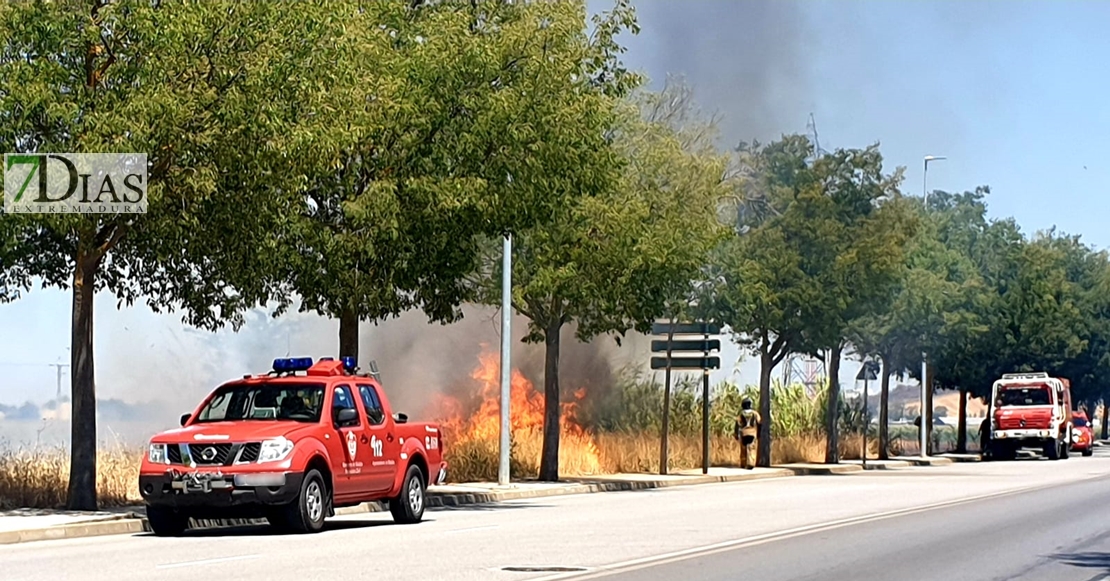 Incendio en la Ronda Norte de Badajoz