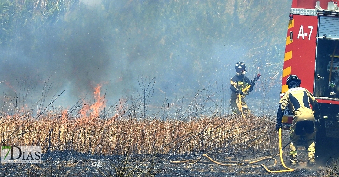 Incendio en la Ronda Norte de Badajoz