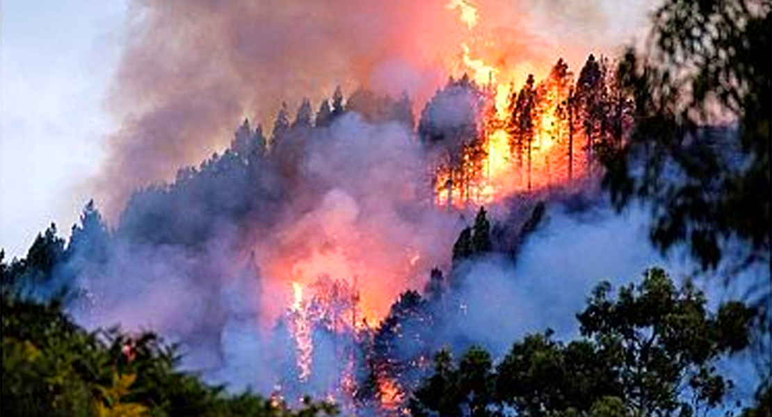 3.400 hectáreas quemadas y más de 5.000 desalojados en el incendio de Gran Canaria