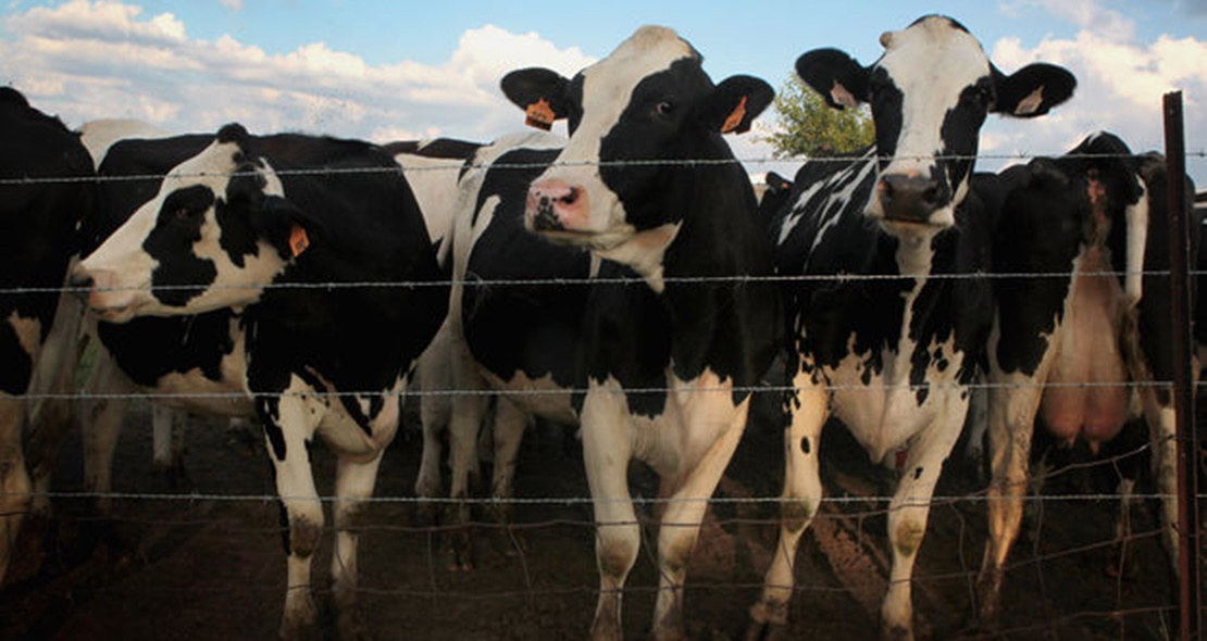 Cambiar el sistema alimentario para salvar el planeta