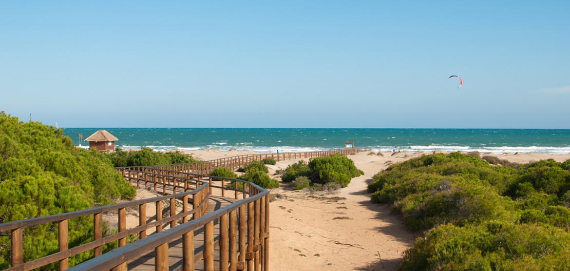 Nuevo ataque de un pez en una playa de Alicante