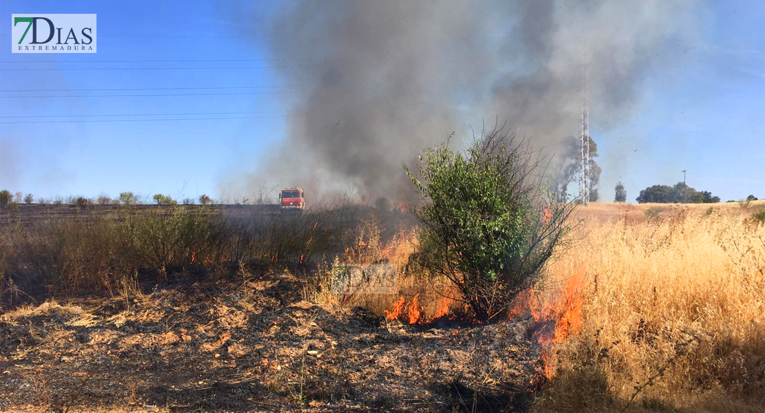 Grave incendio de pastos cercanos a Las Vaguadas (Badajoz)