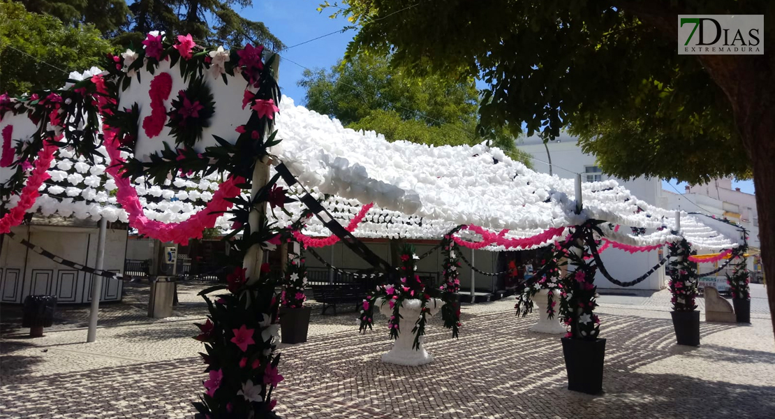 GALERÍA - VII Jardim de Papel en Campo Maior