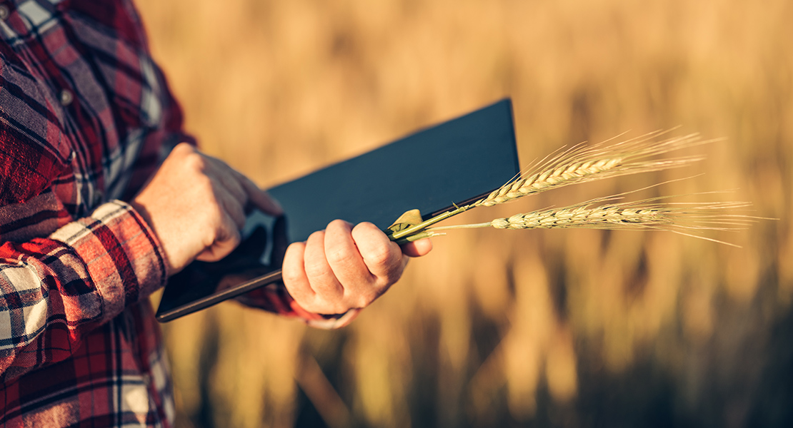 Usa esta aplicación en tu móvil para encontrar trabajadores agrícolas