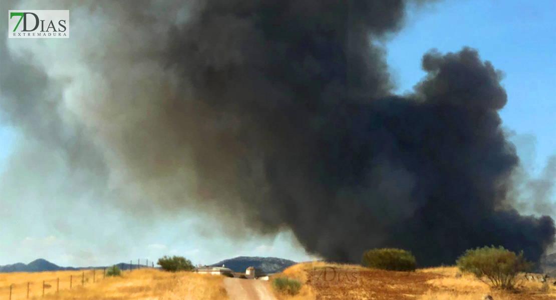 Un incendio forestal en Palomas moviliza a varios parques del CPEI