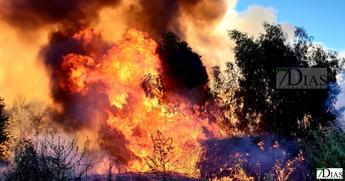Detienen a nueve personas por provocar 11 incendios en seis provincias, entre ellas Cáceres