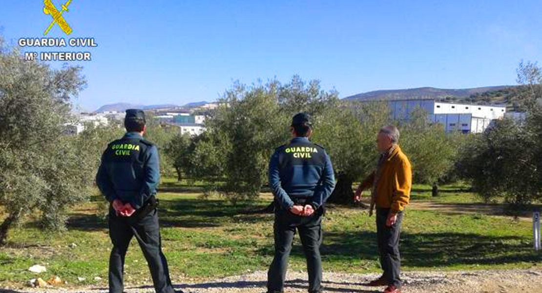 La Guardia Civil ha detenido a dos personas por estafar a 84 olivareros