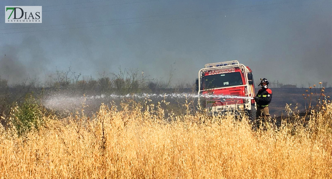 Grave incendio de pastos cercano a Las Vaguadas (Badajoz)