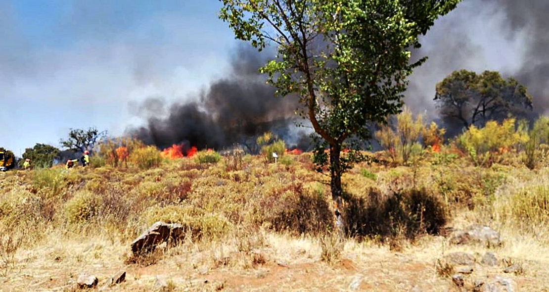 Incendio forestal Nivel 1 en Calzadilla de los Barros (BA)