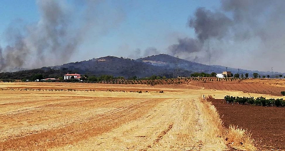 Incendio forestal Nivel 1 en Calzadilla de los Barros (BA)