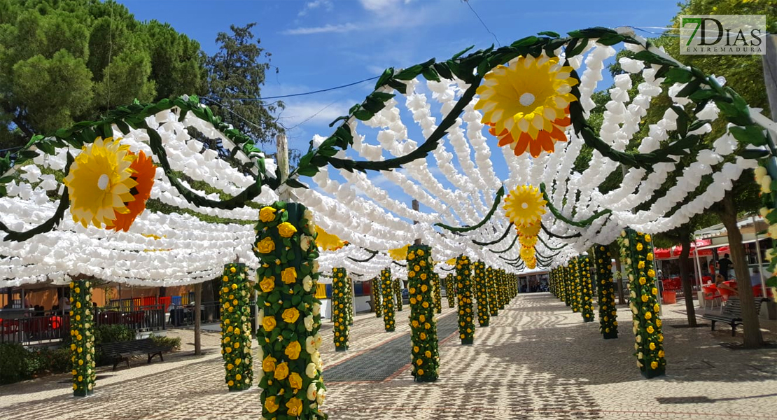 GALERÍA - VII Jardim de Papel en Campo Maior