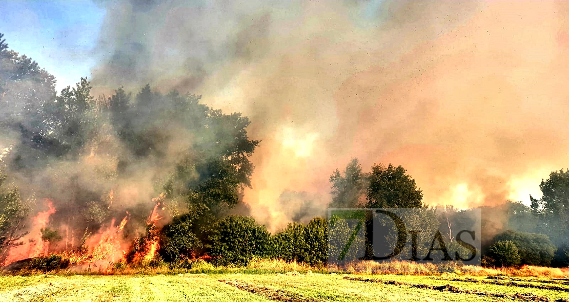 Incendio forestal activo en Alvarado (Badajoz)